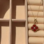 پلاک مدل ونکلیف - Image 3