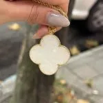 پلاک مدل ونکلیف - Image 2