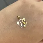 پلاک لیزری مدل پاندا - Image 2