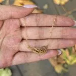 گردنبند لیزری مدل بال - Image 4